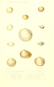 n514_w1150