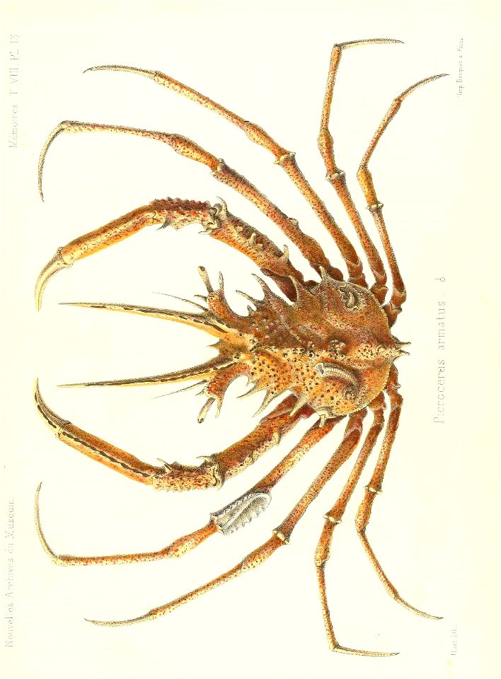 n56_w1150