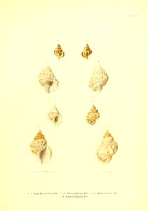 n190_w1150