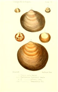 n512_w1150