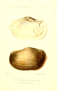 n508_w1150