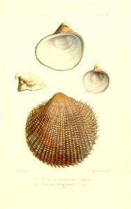 n448_w1150