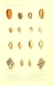 n388_w1150