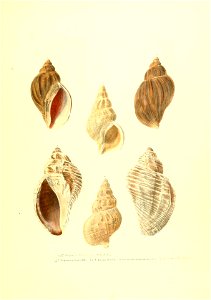 n154_w1150