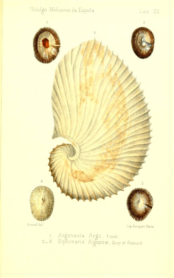 n476_w1150