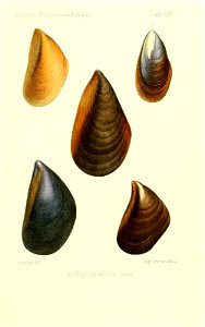 n416_w1150