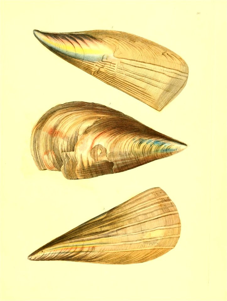 n374_w1150