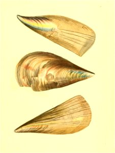 n374_w1150