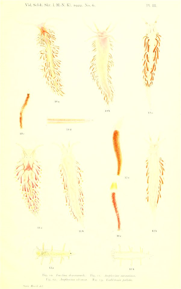 n114_w1150