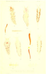 n114_w1150