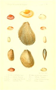 n564_w1150