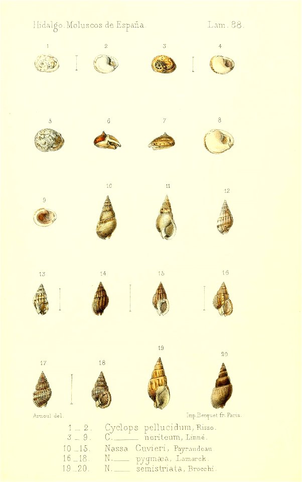 n534_w1150