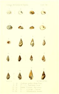 n534_w1150