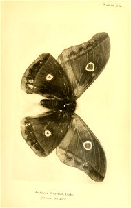 n282_w1150