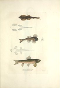 n188_w1150