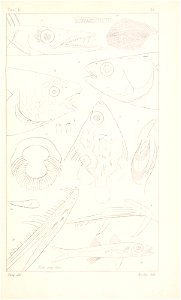 n482_w1150