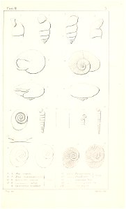 n452_w1150