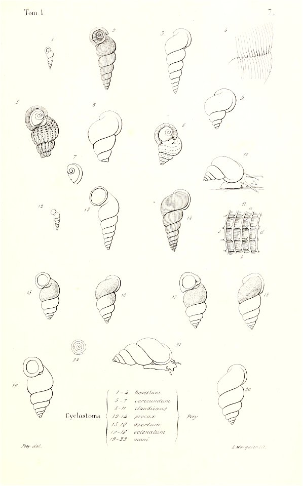 n482_w1150