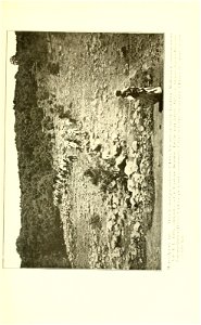 n130_w1150