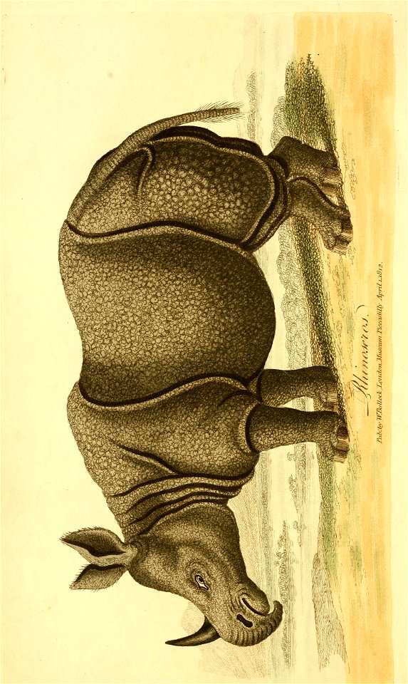 n43_w1150