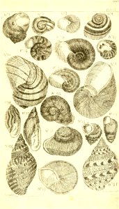 n576_w1150
