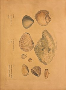 n82_w1150