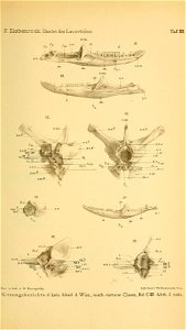 n342_w1150