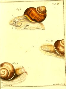 n68_w1150