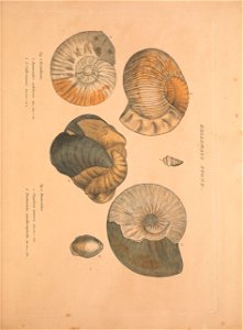 n68_w1150