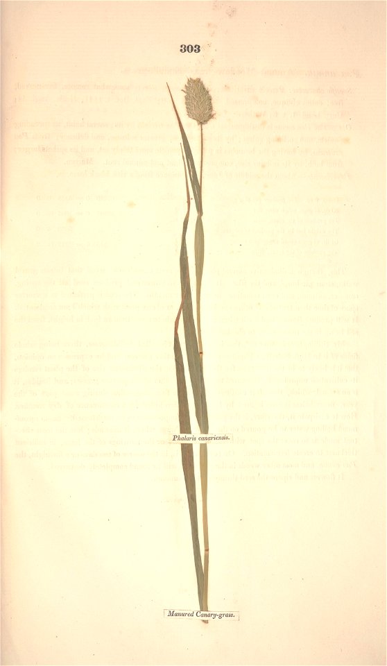 n374_w1150