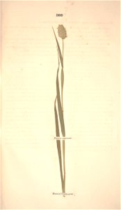 n374_w1150
