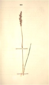 n306_w1150