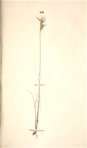 n202_w1150