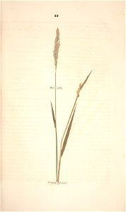 n114_w1150