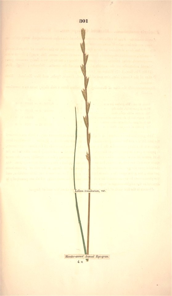 n372_w1150