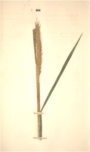 n334_w1150