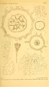 n208_w1150