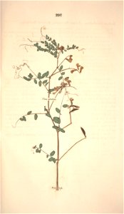 n368_w1150