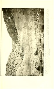 n168_w1150