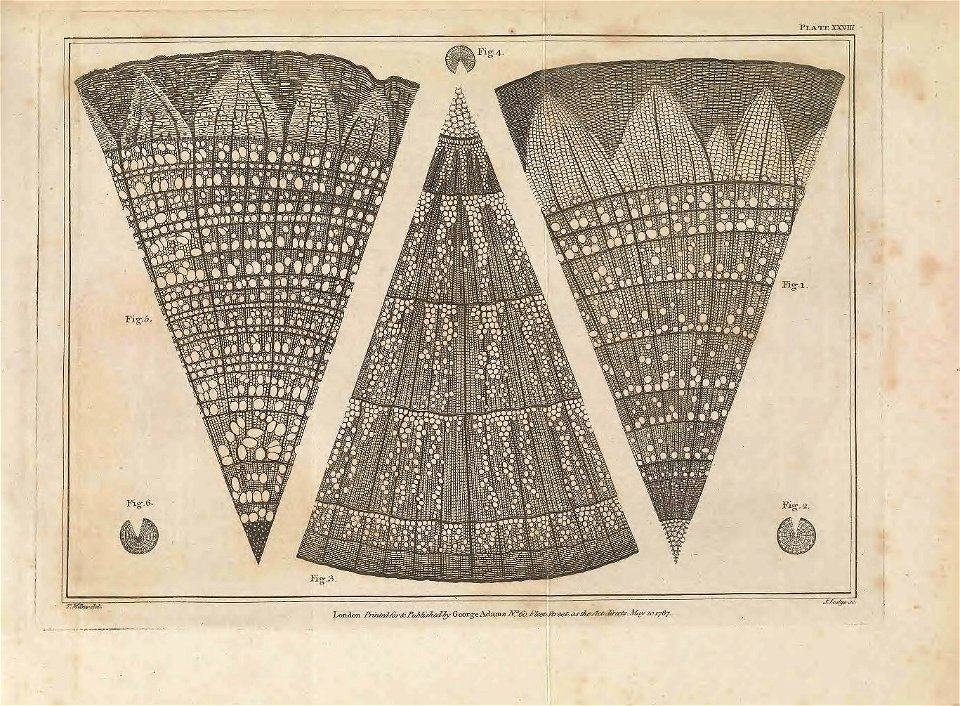 n822_w1150