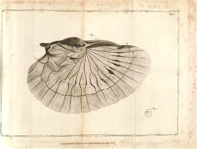 n456_w1150