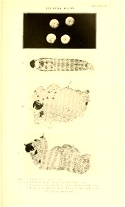 n398_w1150