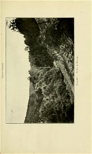 n198_w1150