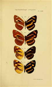n168_w1150