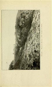 n196_w1150