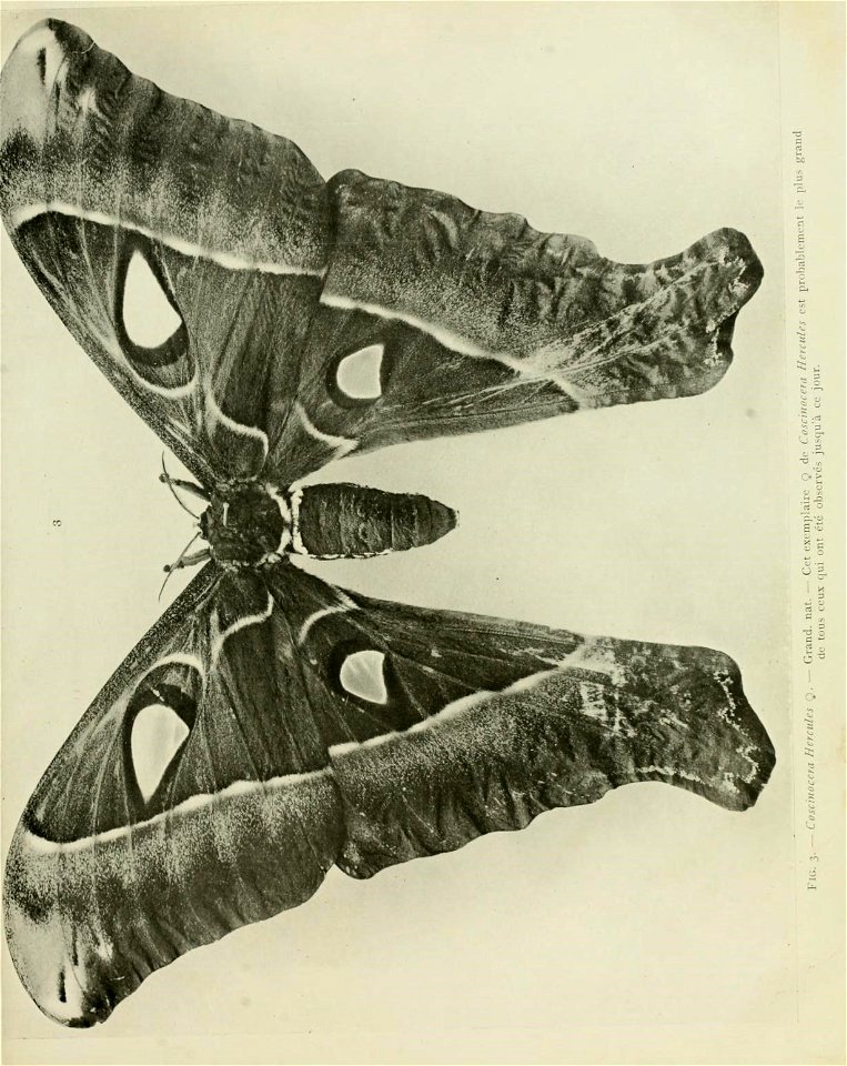 n34_w1150