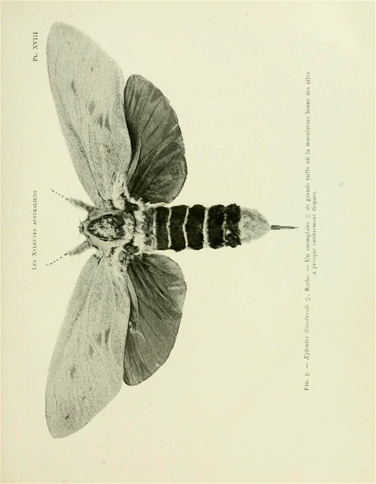 n102_w1150