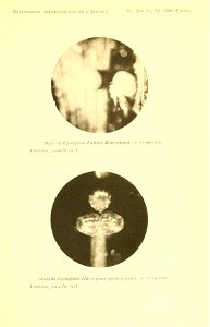 n210_w1150