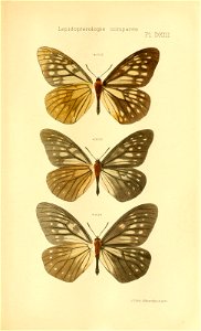 n698_w1150