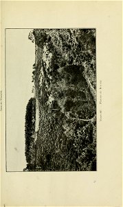 n194_w1150